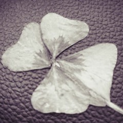 Again in the Universe