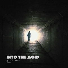 Into The Acid