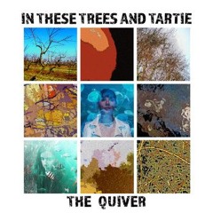 Stereo Embers The Podcast 0400: Binnie Klein (In These Trees)