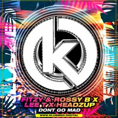 Fitzy & Rossy B x Lee T x HeadzUp - Don't Go Mad