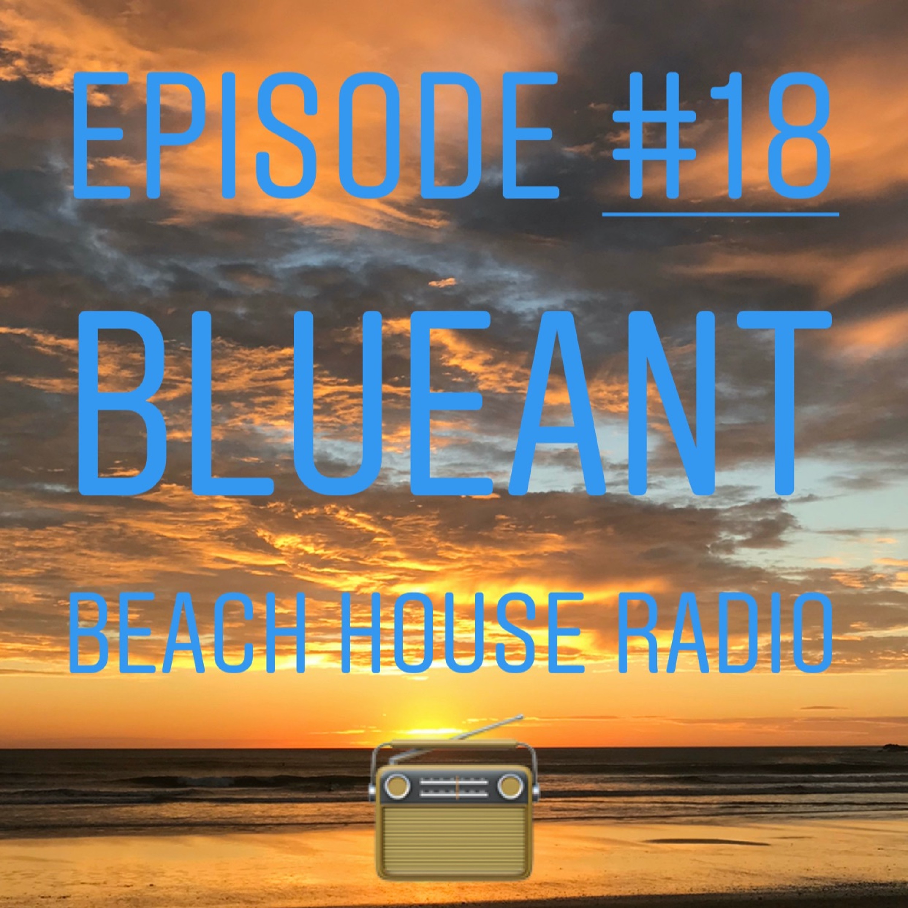 BlueAnt Beach House Radio