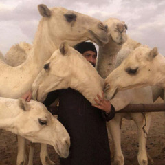 صالح الهمامي