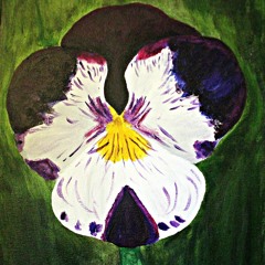 Blossom