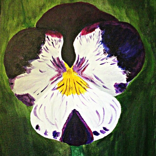 Blossom