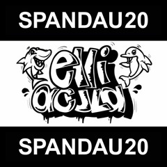 SPND20 Mixtape By Elli Acula