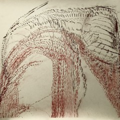 A Study Of Pulses - Gemma Thompson