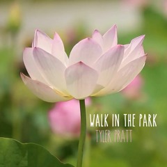 Walk In The Park