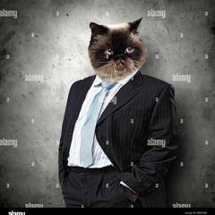 get bandz xaviersobased x noonie lol