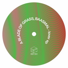 A Blade Of Grass, Baasmal - Moments (Original Mix)