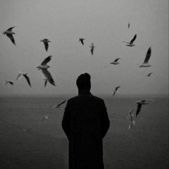 Blind birds