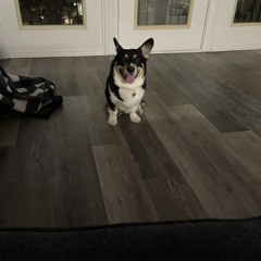 Do Not Fuck With Isreal