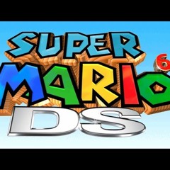 B3313 Salty Salty Shore but it's inserted in a SM64 DS Rom (Variant)