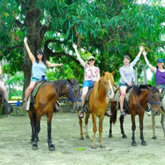 Review Special Price Punta Cana Halfday Cultural Safari With Lunch And Drinks