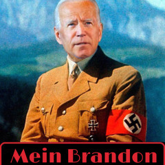 The Joe Biden Collection - Election Stupid Mastered