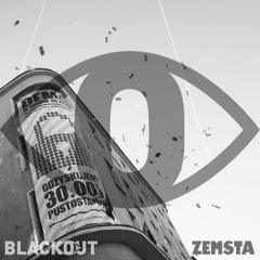 BLACKOUT podcast #2 WSL, czyli "Miasto jest nasze"! O historii i obecnych działaniach lokatorskich