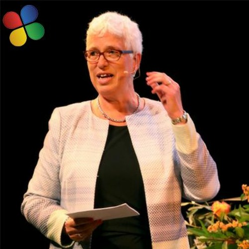 Stream episode Interview | Annie van de Riet from AVAG talks about ...