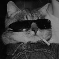 The Function Ft. Shell