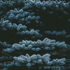 Resting Mind (mini mix)