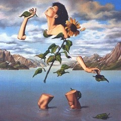 عبد فلك - بسيطة