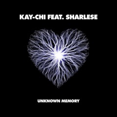 PREMIERE - Kay-Chi Feat. Sharlese - Unknown Memory (Ton Globiter Remix) (Volition)