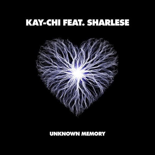 PREMIERE - Kay-Chi Feat. Sharlese - Unknown Memory (Ton Globiter Remix) (Volition)