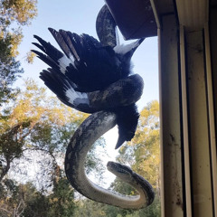 si6yon x bjayxo - left 4 dead  (rugermelodies & 2tekks) [DJPINKFANGS X SLUMP AUDIO EXCLUSIVE]