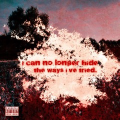 I Can No Longer Hide The Ways I’ve Tried