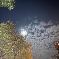 قرآن كريم (عام)