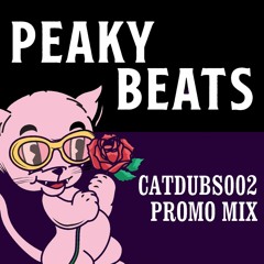 CATDUBS002 PROMO MIX  (LIVE IN HYDE PARK)