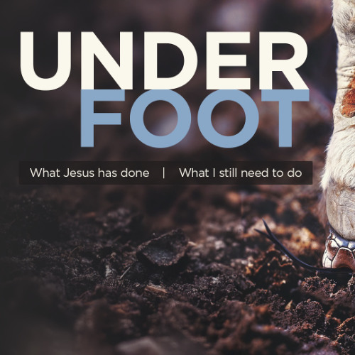 Underfoot 5 - Gregg Donaldson