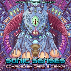 Psilocyburns Vs Xabanga - Because I Gotta (VA Sonic Senses - Digital Shamans Records)