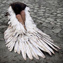 You broke my heart but my wings are strong