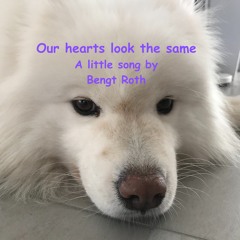 We all look the same (version 2)