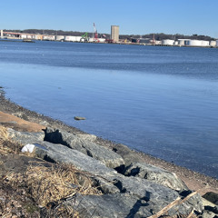 donk - beyonce (extra slowed + looped)