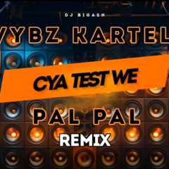 VYBZ KARTEL - CYA TEST WE (PAL PAL) REMIX