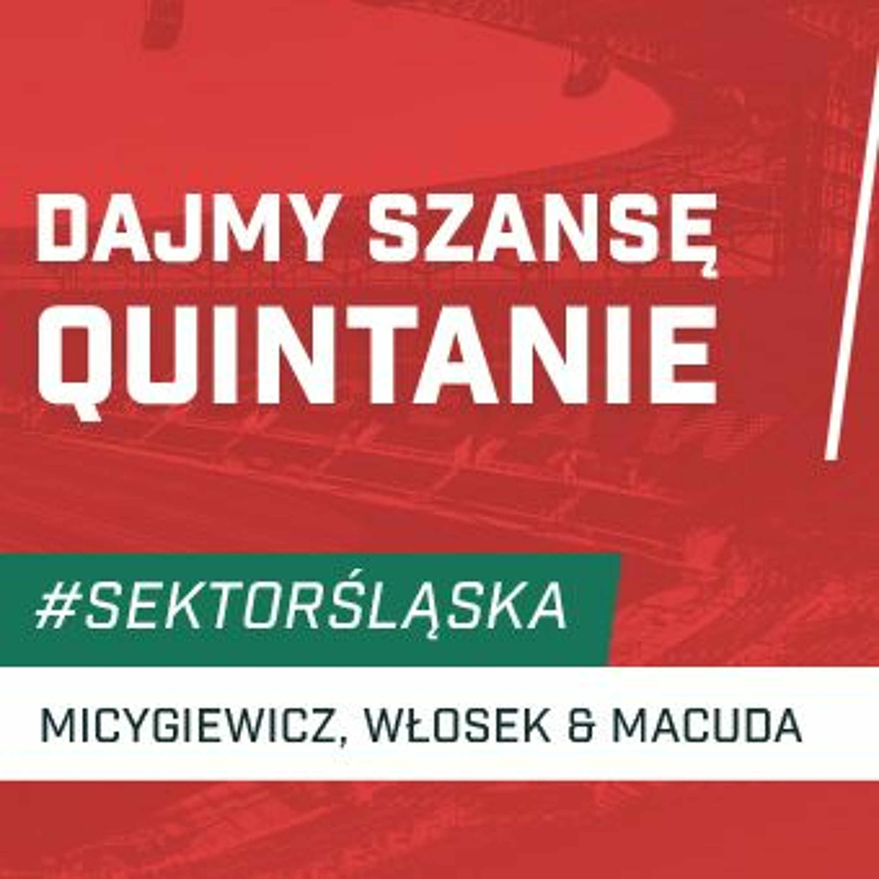 Śląsknet