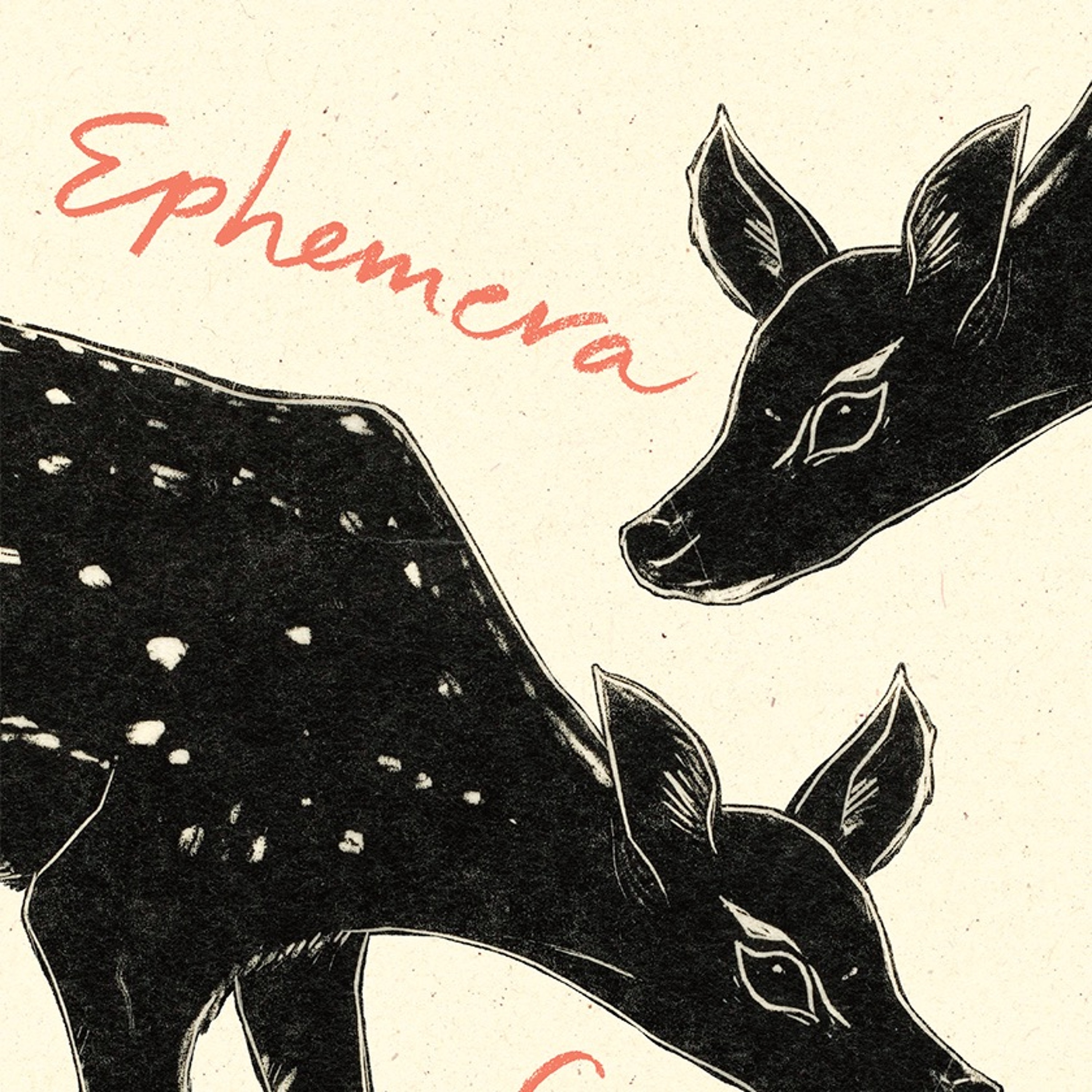 Episode 41 - Poet Sierra DeMulder writes about loss and life in her latest collection, EPHEMERA episode artwork