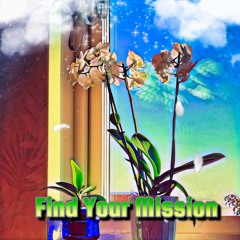 Find Your Mission
