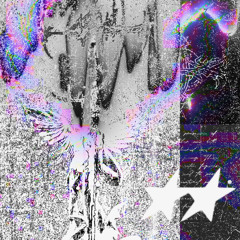¥¥¥set1