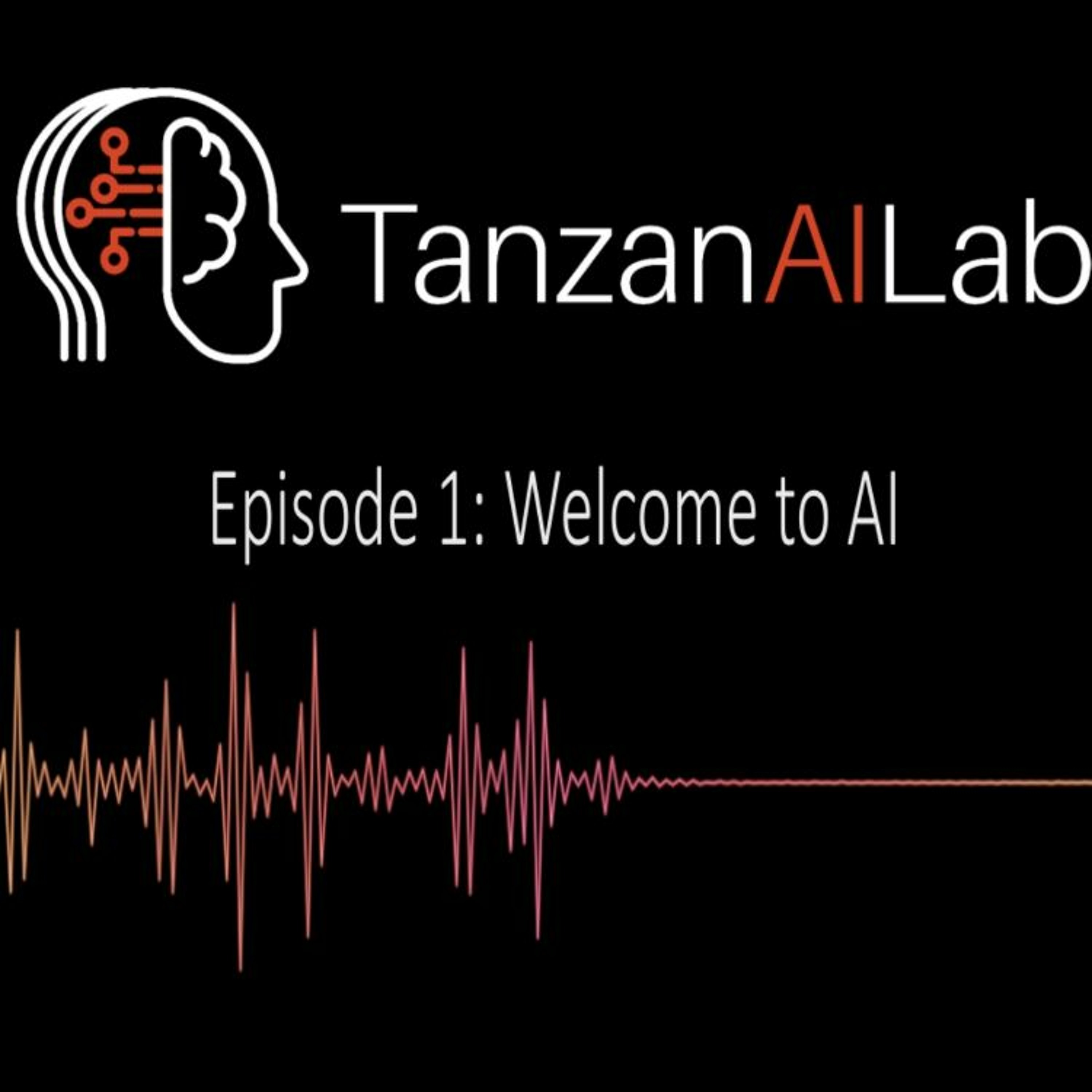 Tanzania AI Lab on Jamit
