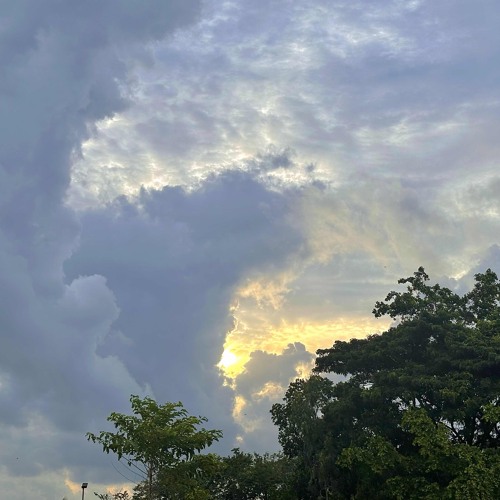 Đi về phía nắng lênn