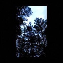 Bitch Dont Kill My Vibe (prod neltq)