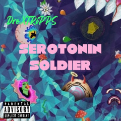 Serotonin Soldier (TRiPPSXMelodicmaniak)