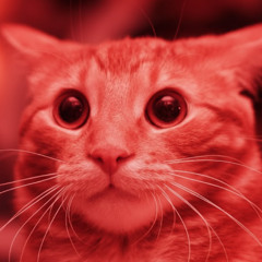 Life Story (feat. UPT)