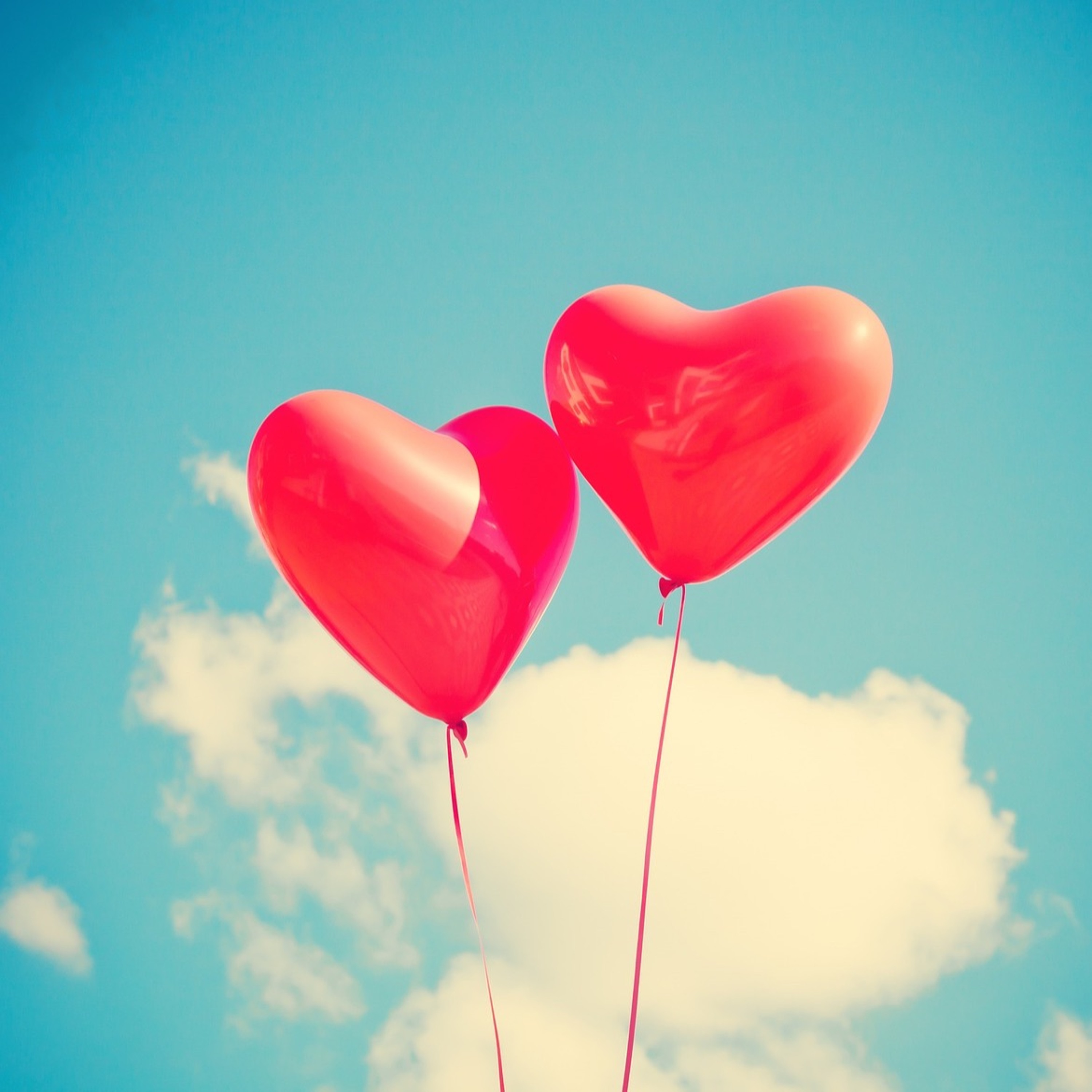 Quattro Stagioni 143 - San Valentino