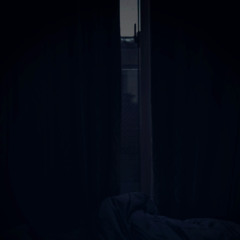 フクロウ
