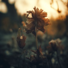 Degradation of forgotten souls