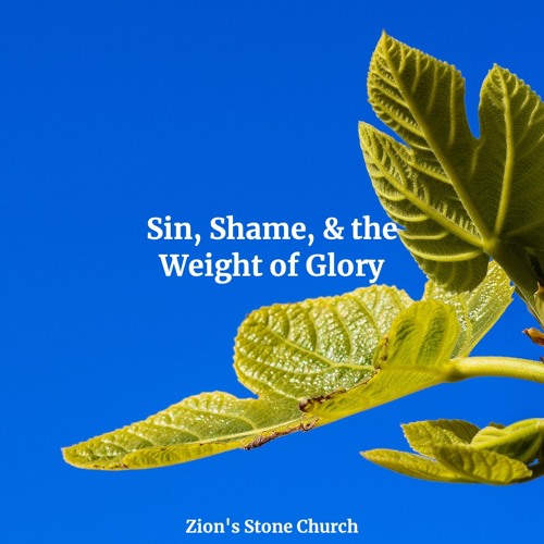 Sin, Shame, & the Weight of Glory