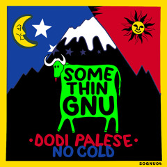 PREMIERE: Dodi Palese - Soft Care (Original Mix) [Somethingnu]