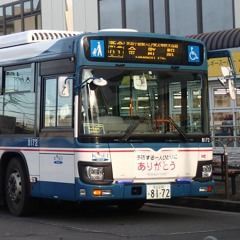 (勝手に)Re.YOUKAI SHIN-SHIBAMATA ZONE